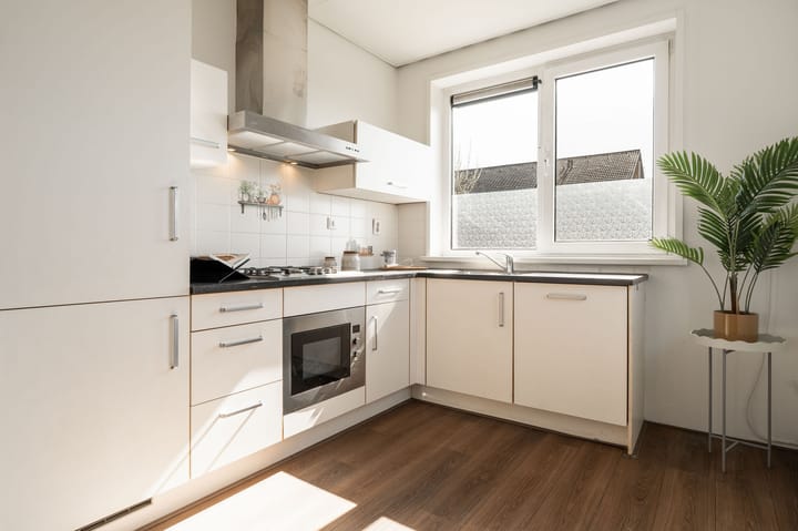 Foto 3 van Galjoen 05 28