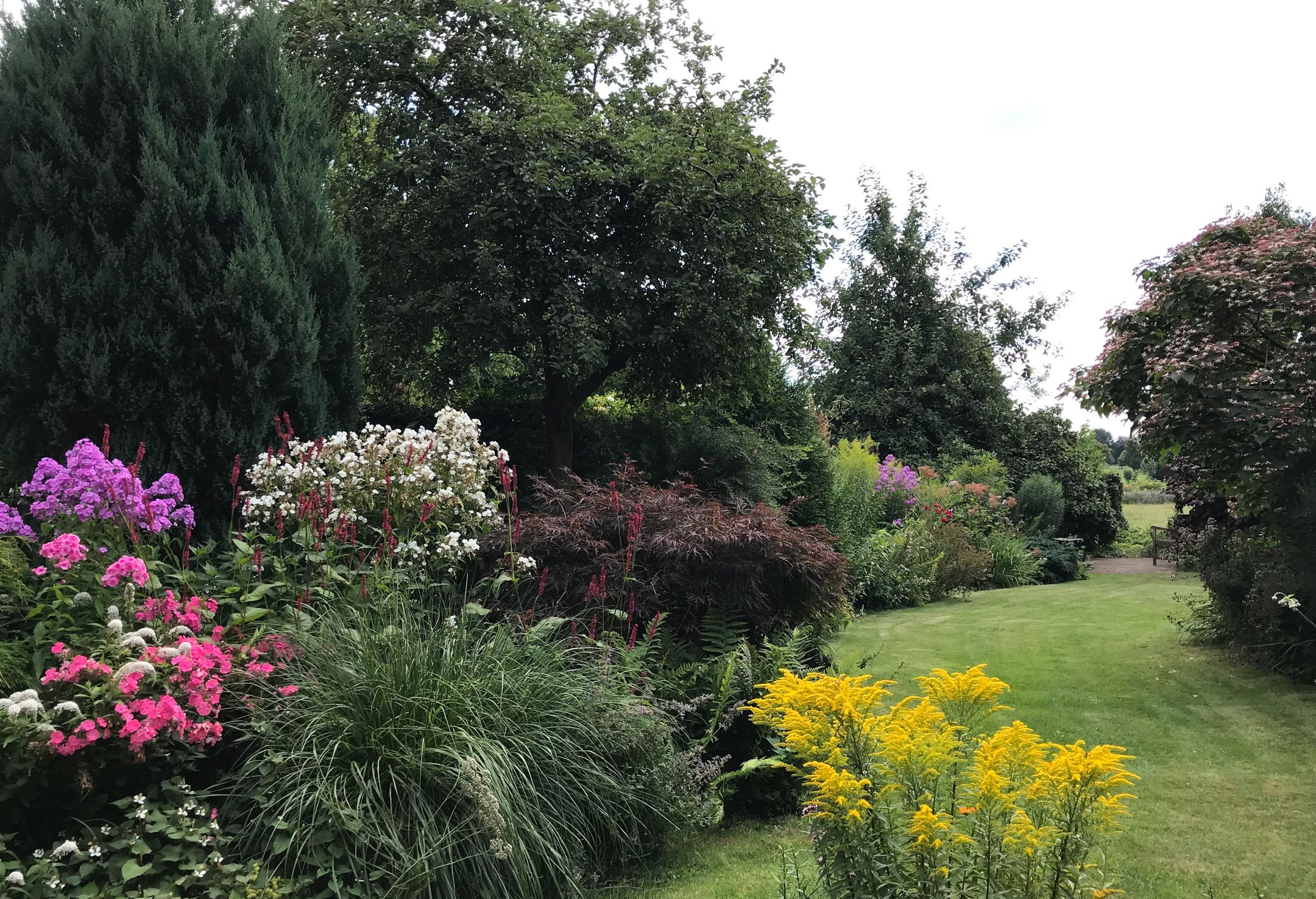 Photo 87 of Bredeweg 88-A