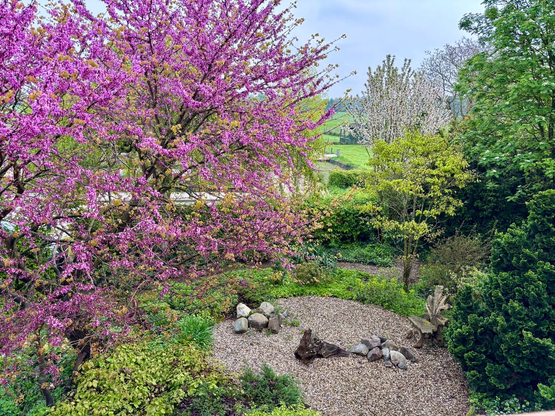 Photo 86 of Bredeweg 88-A