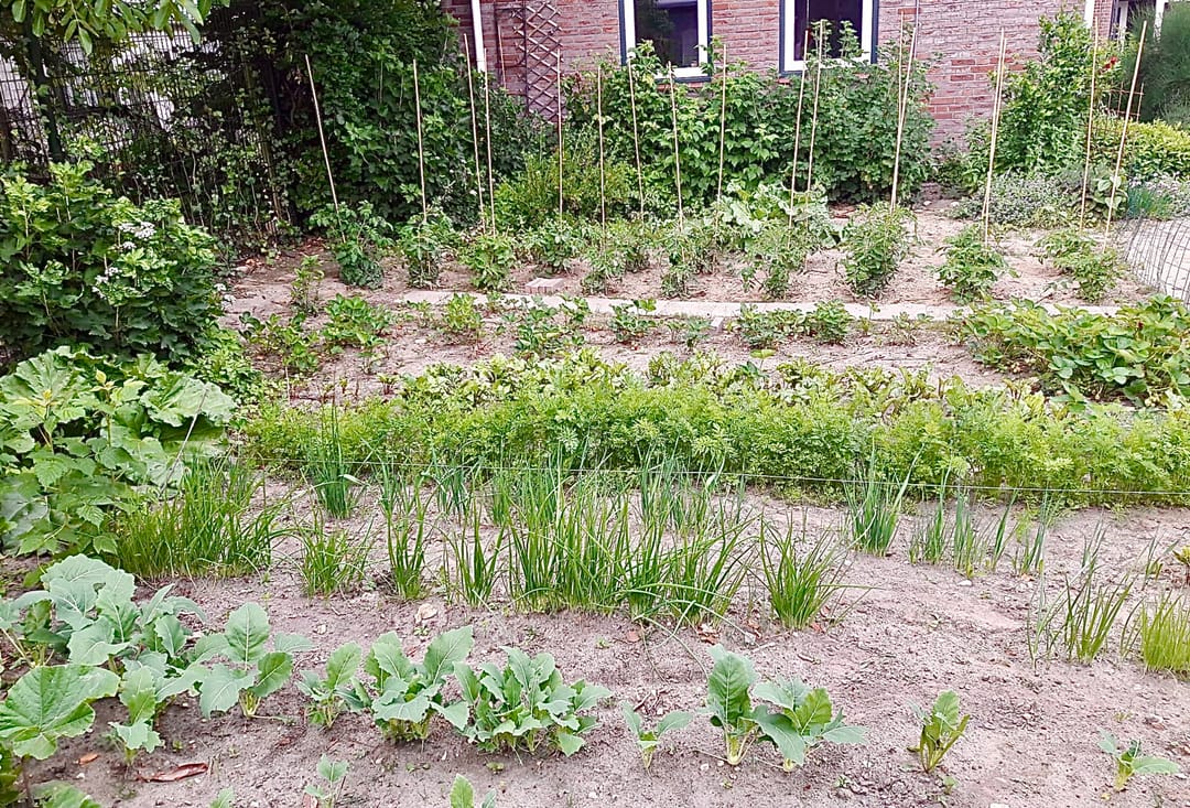 Photo 88 of Bredeweg 88-A