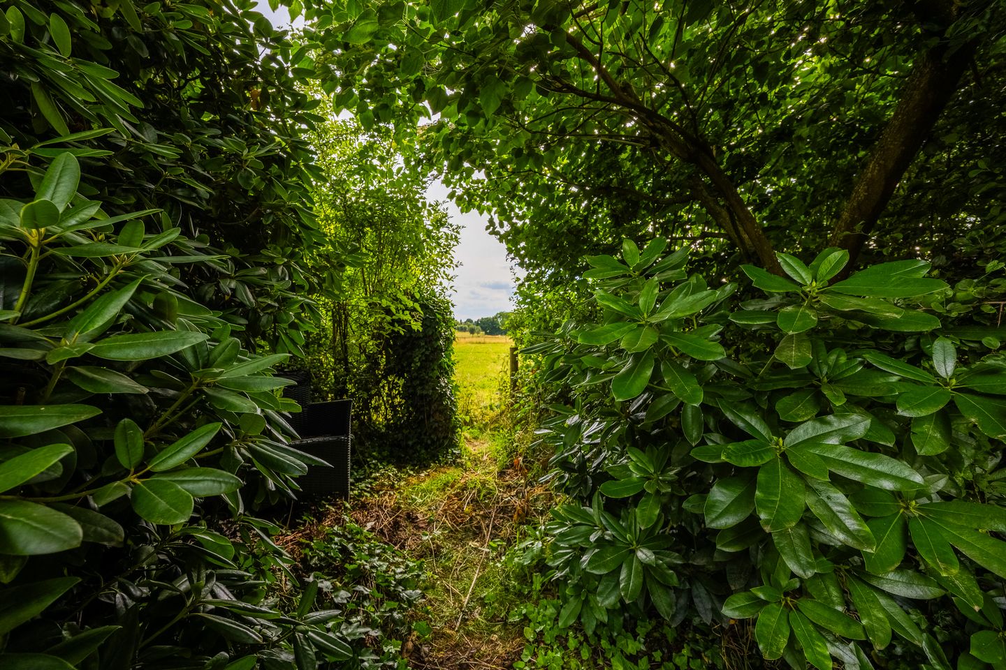 Photo 79 of Bredeweg 88-A