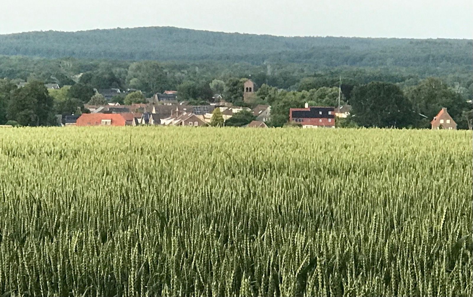 Photo 90 of Bredeweg 88-A