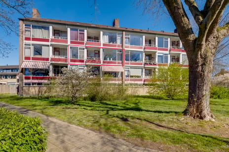 Vogelplantsoen thumbnail