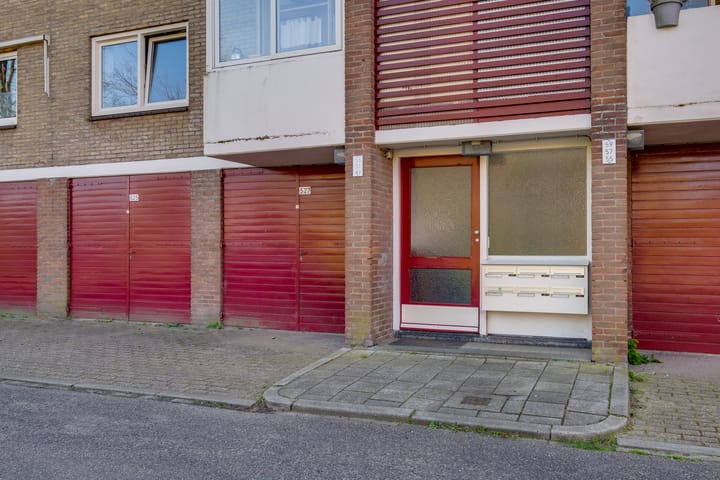 Photo 3 of Vogelplantsoen 51