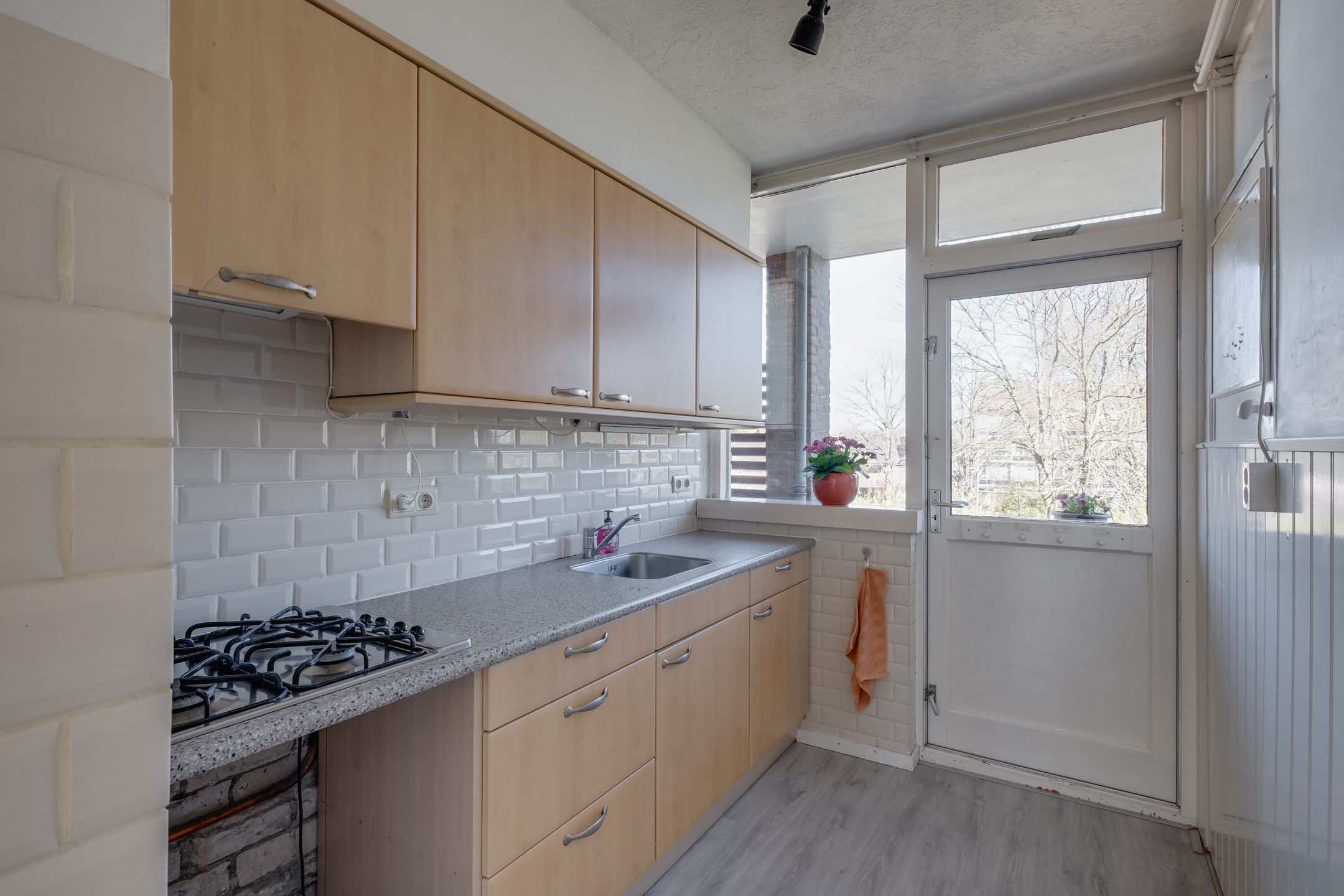 Photo 15 of Vogelplantsoen 51