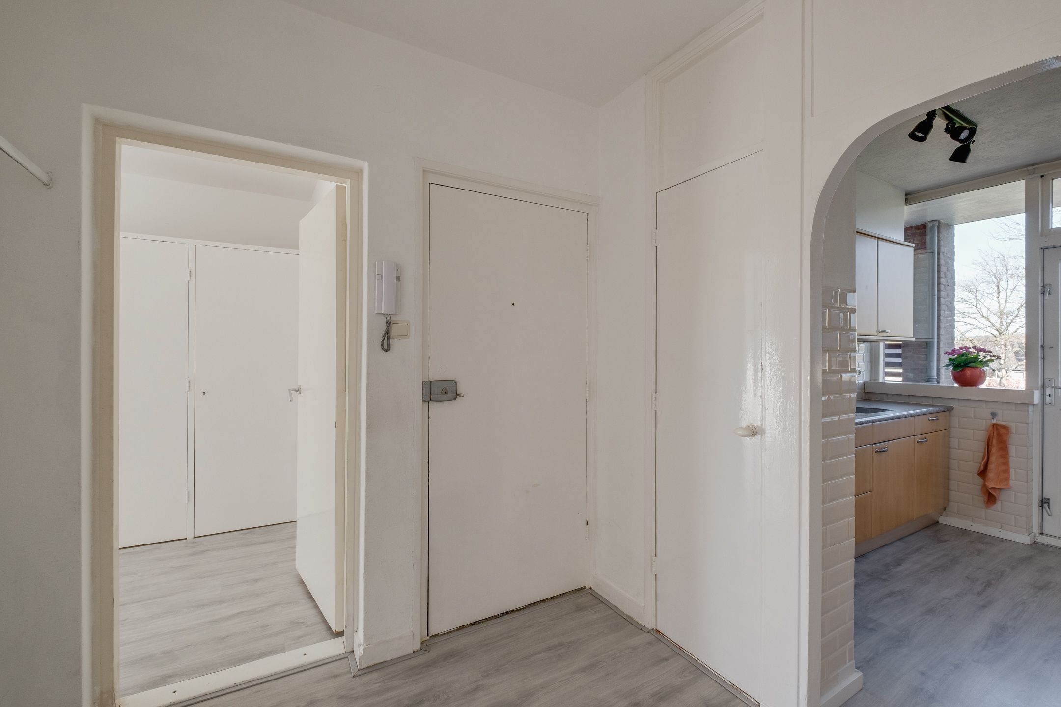 Photo 6 of Vogelplantsoen 51