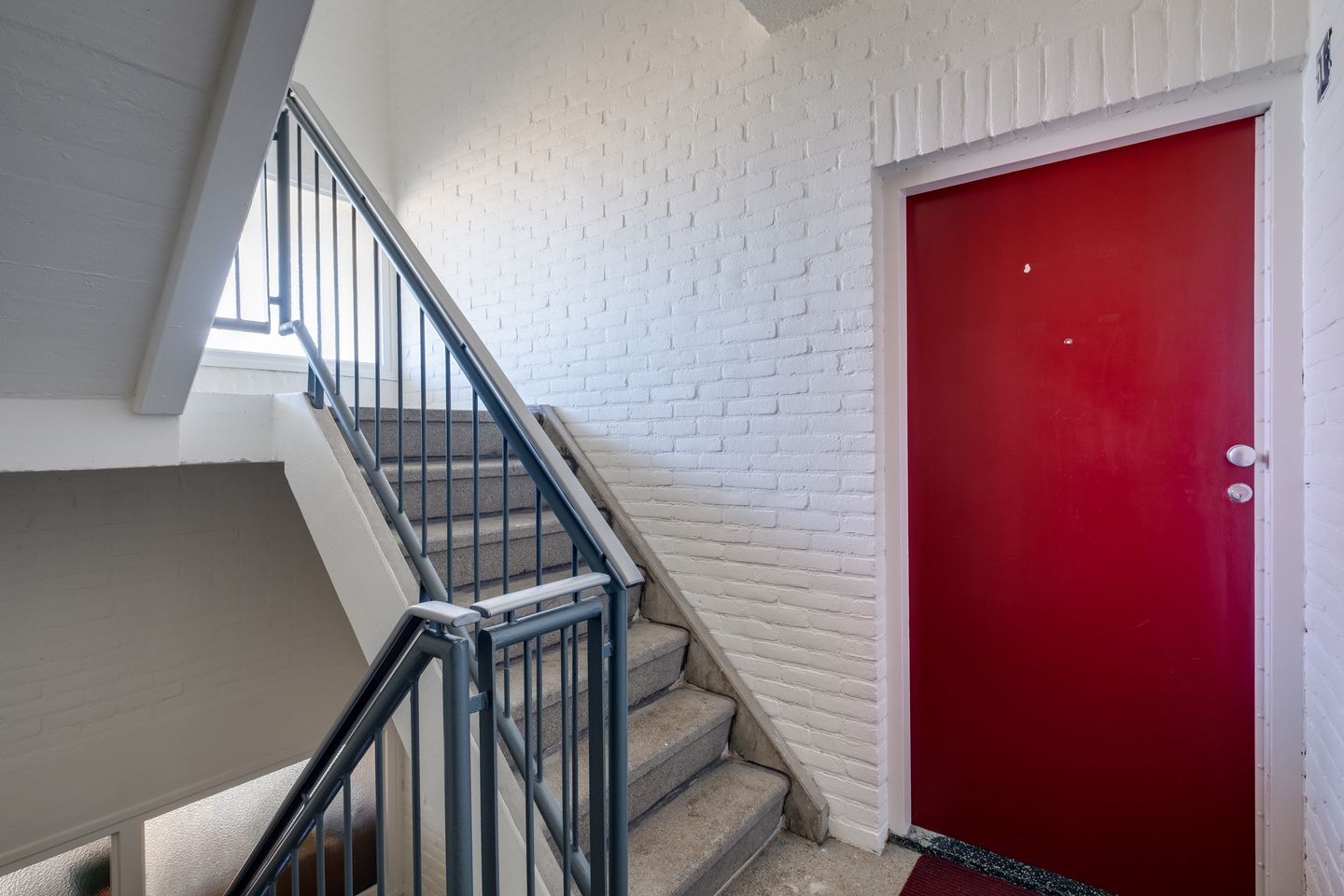 Photo 5 of Vogelplantsoen 51