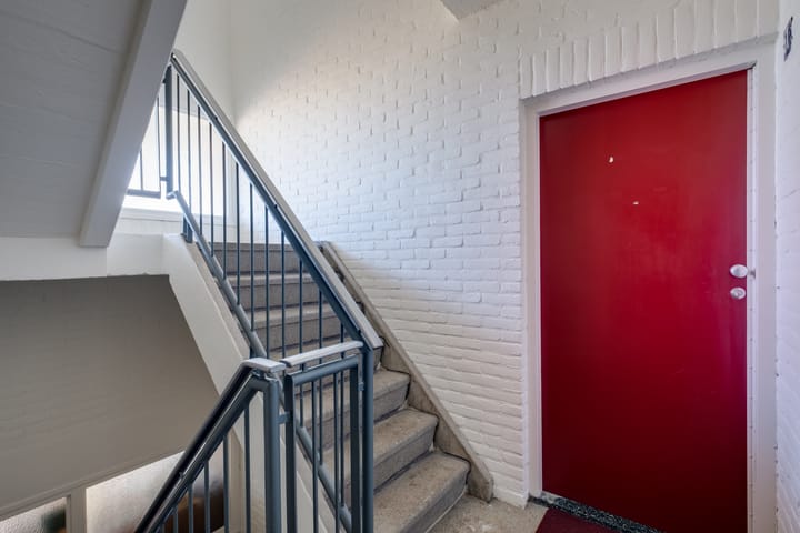 Photo 5 of Vogelplantsoen 51