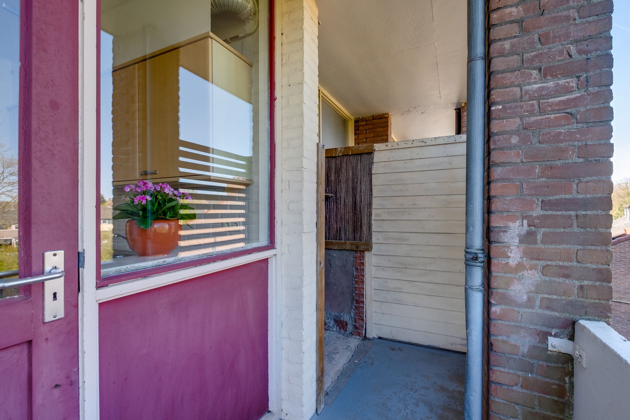 Photo 18 of Vogelplantsoen 51