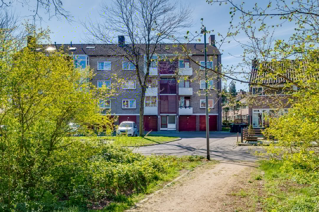 Photo 26 of Vogelplantsoen 51