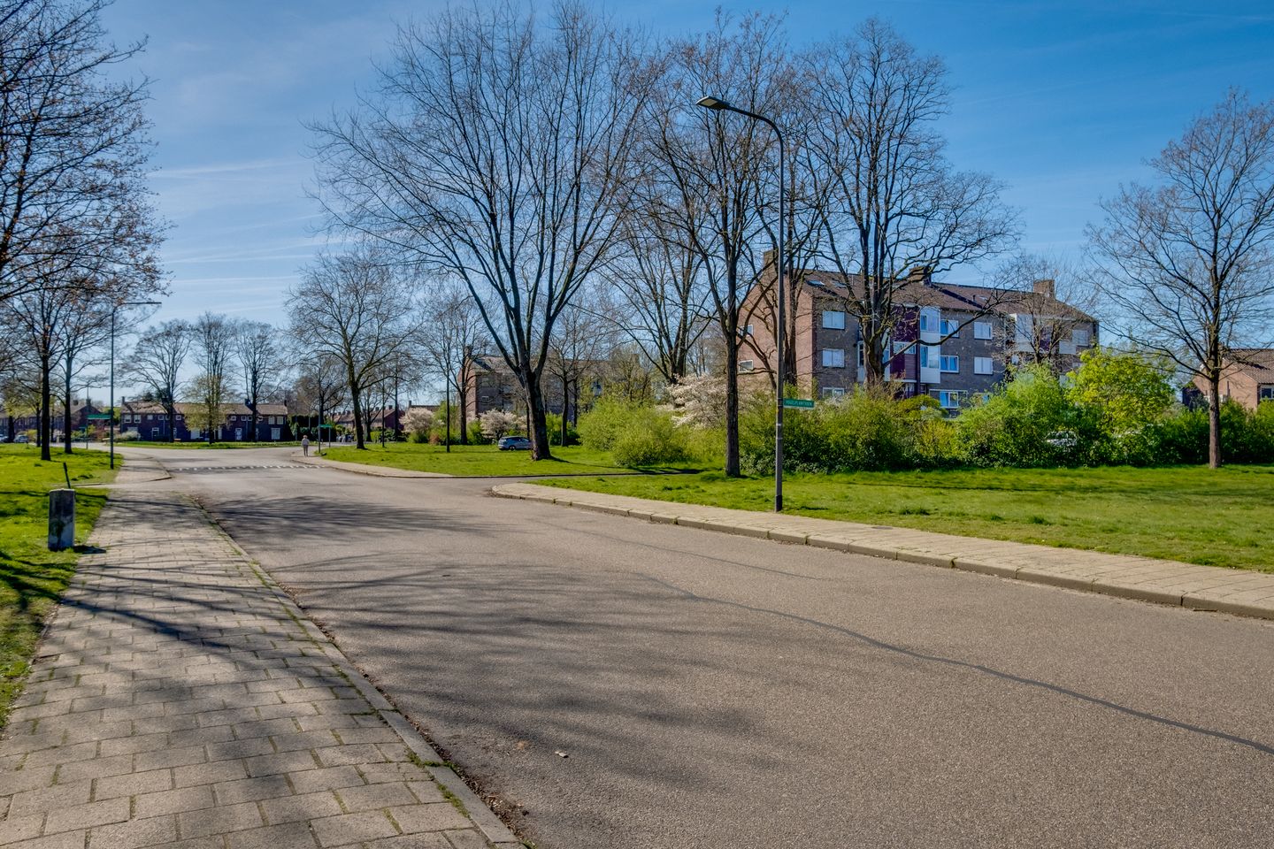 Photo 29 of Vogelplantsoen 51