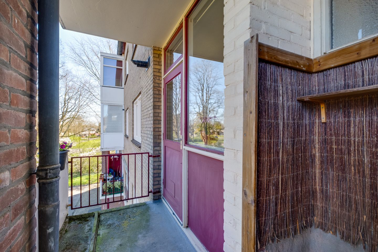 Photo 19 of Vogelplantsoen 51