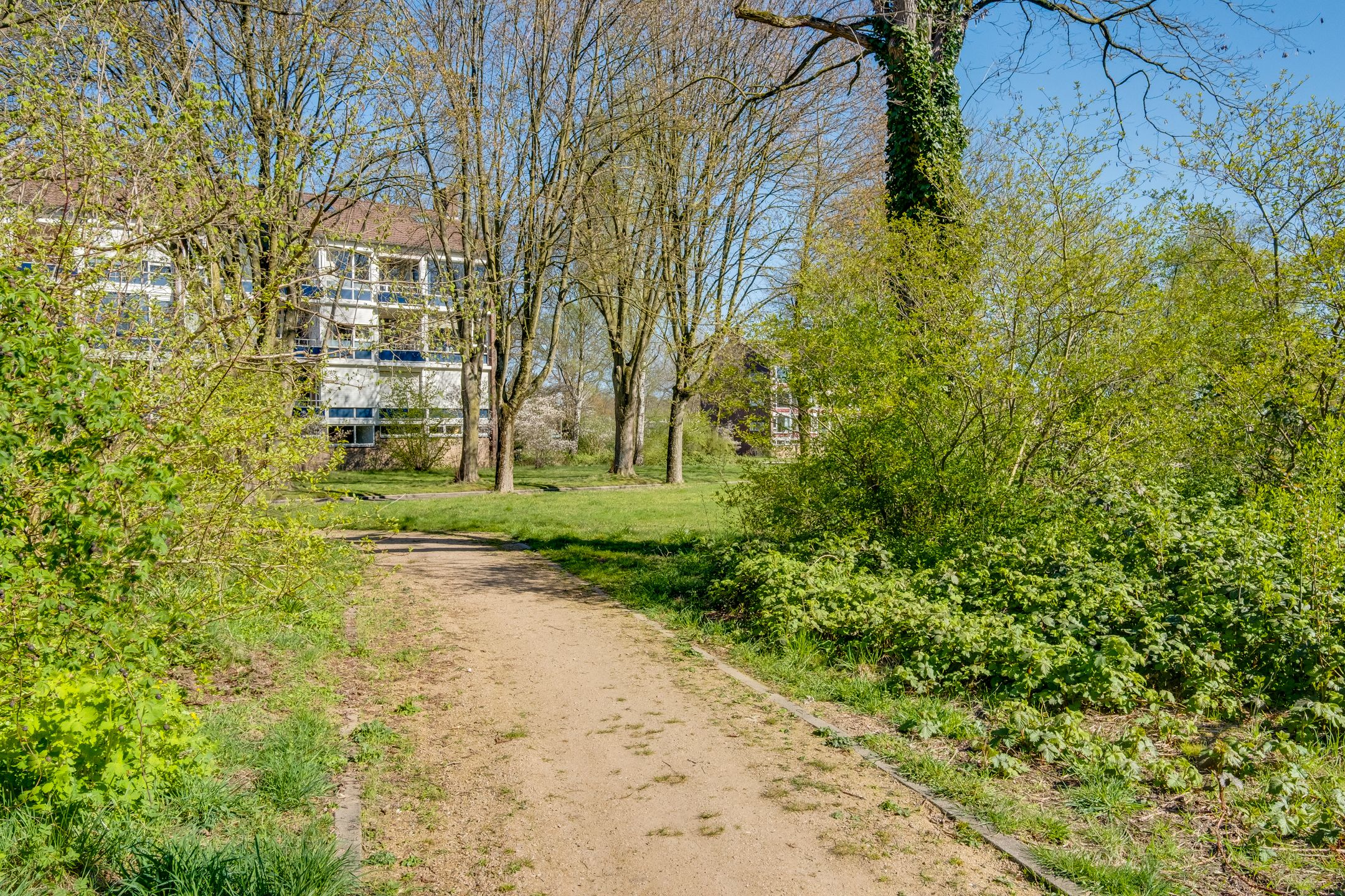 Photo 27 of Vogelplantsoen 51