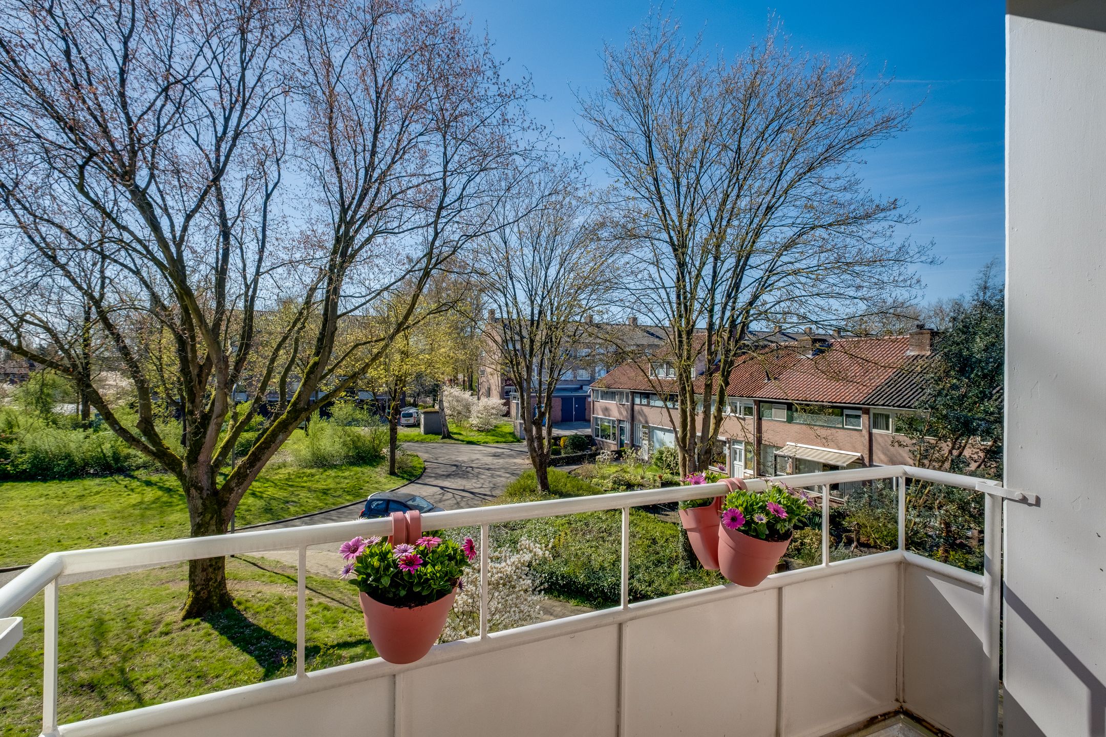 Photo 21 of Vogelplantsoen 51