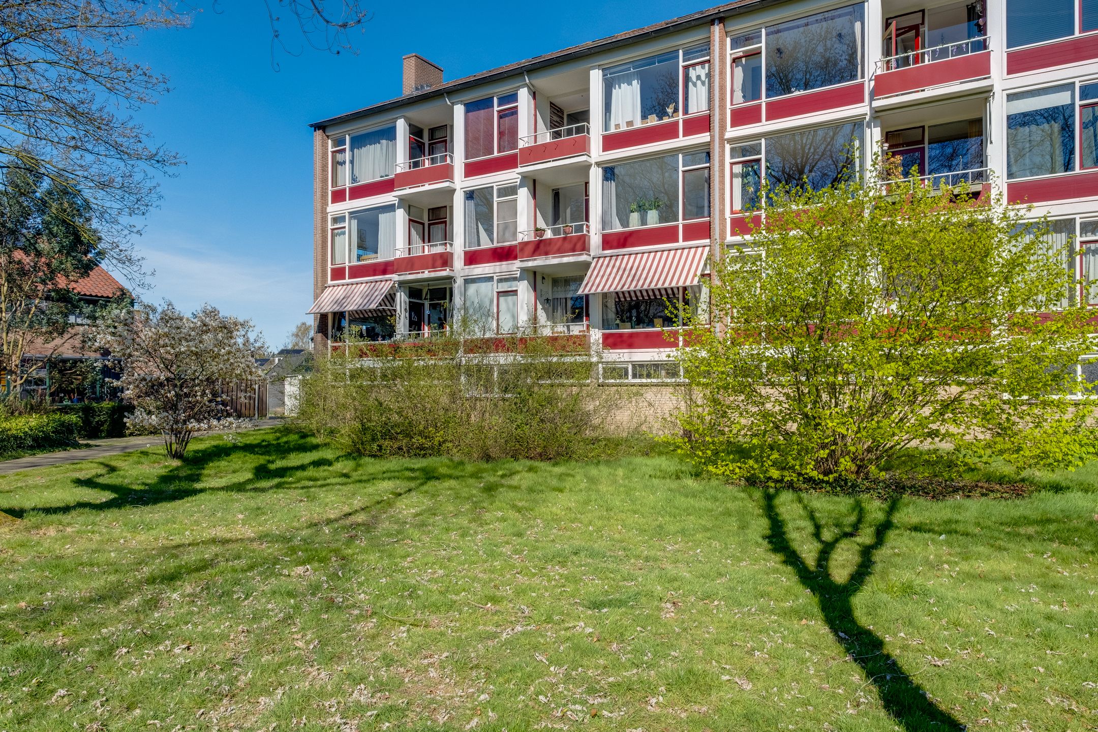 Photo 30 of Vogelplantsoen 51