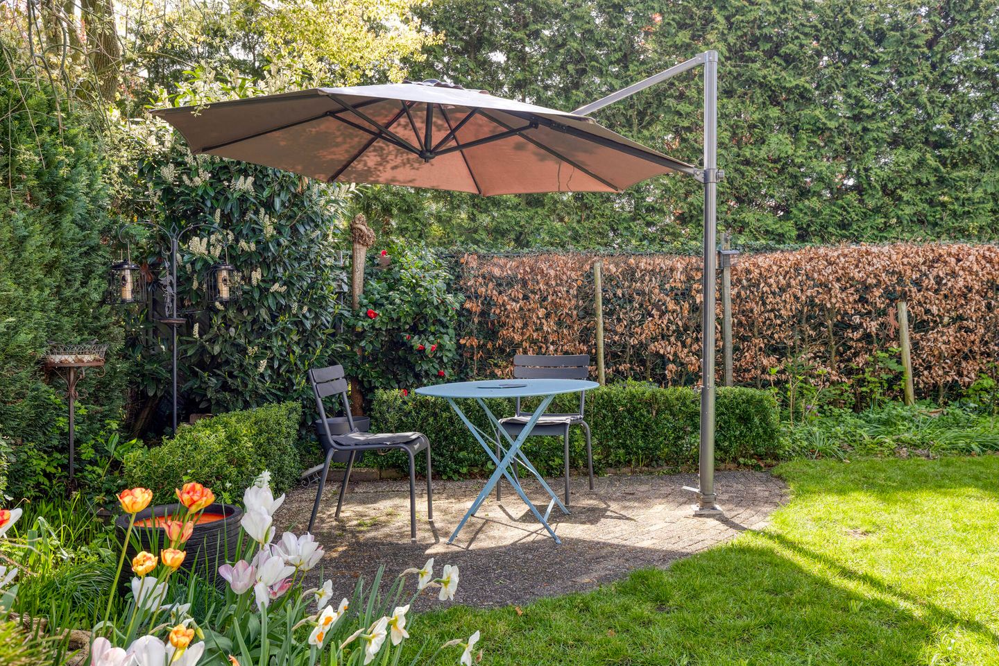 Foto 35 van Paukenstraat 61