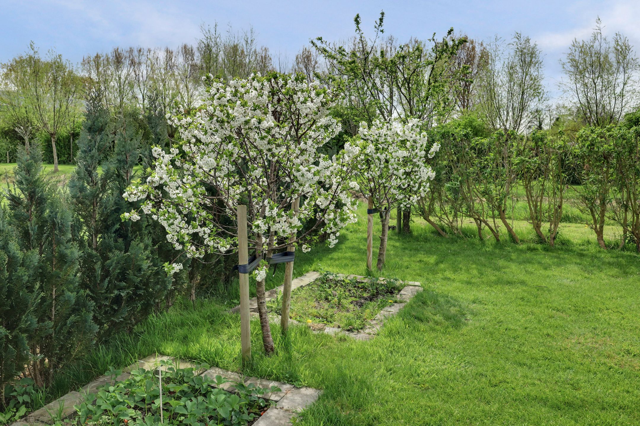 Photo 42 of Lijnbaan 12