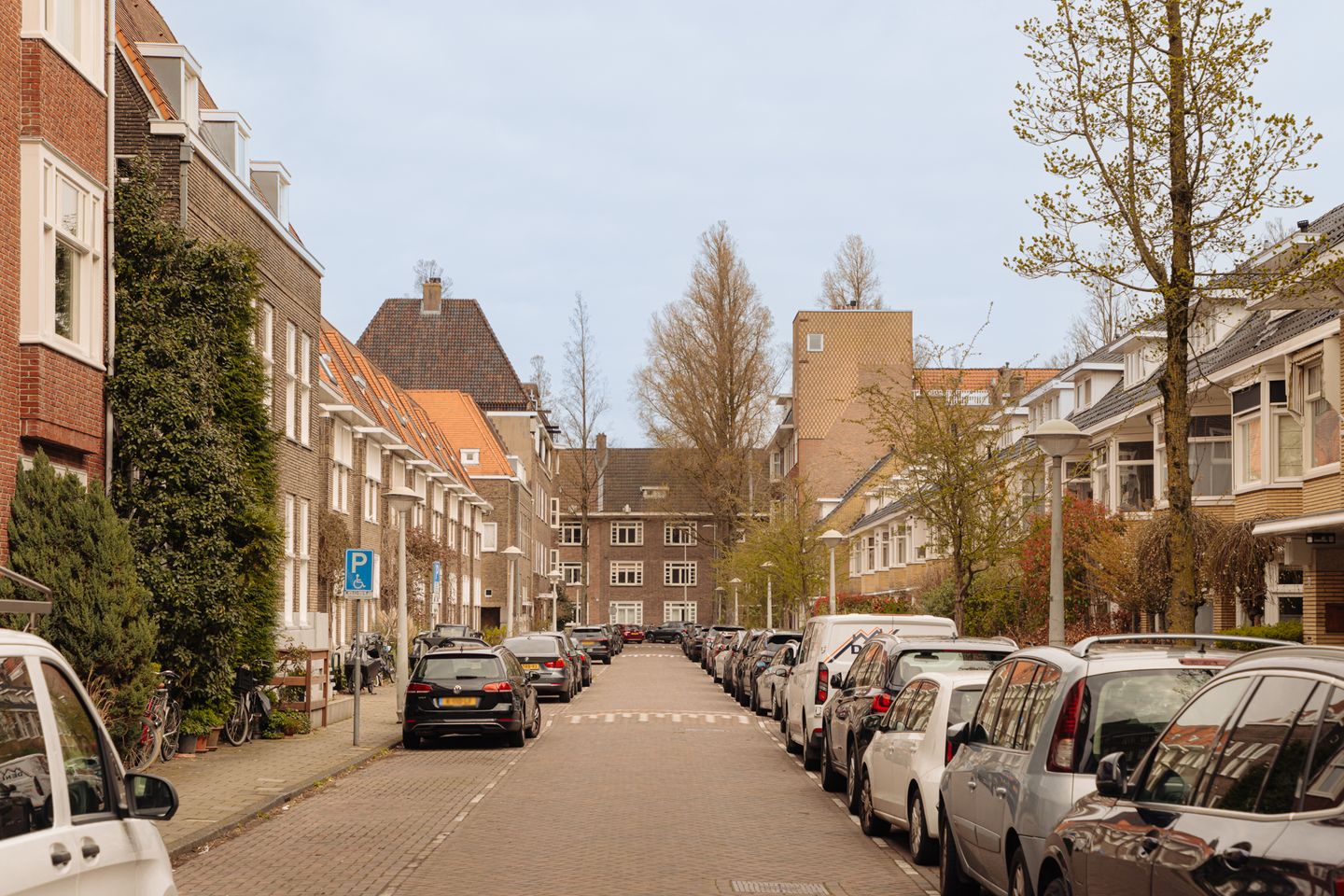 Foto 50 van Botticellistraat 33