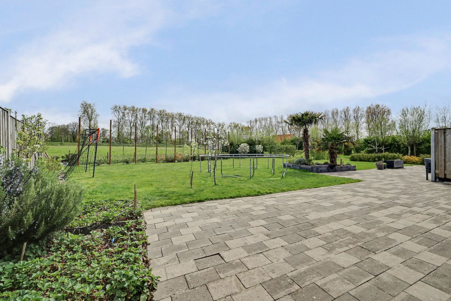 Photo 35 of Lijnbaan 12