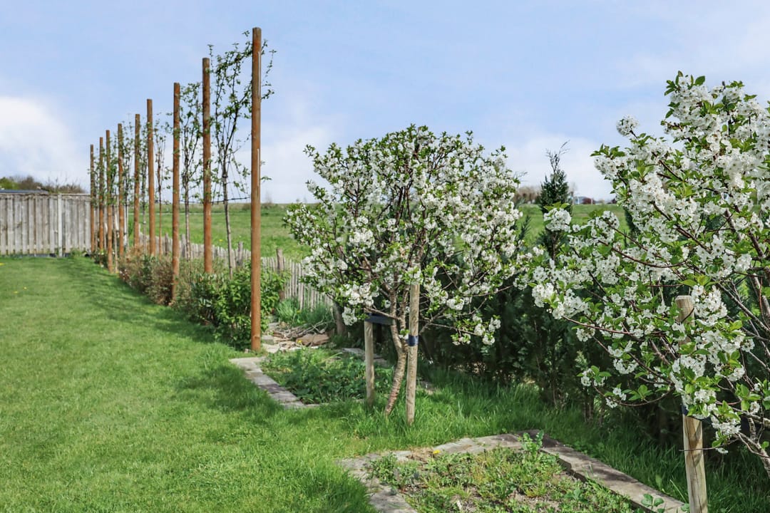 Photo 43 of Lijnbaan 12