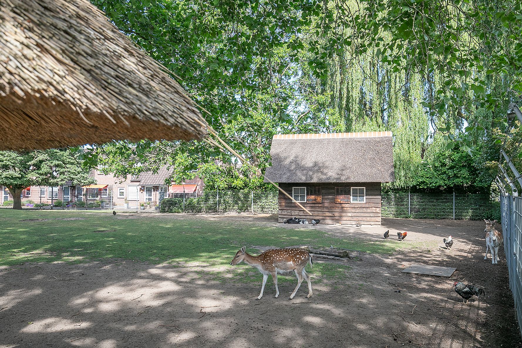 Foto 15 van Koppeldijk 8