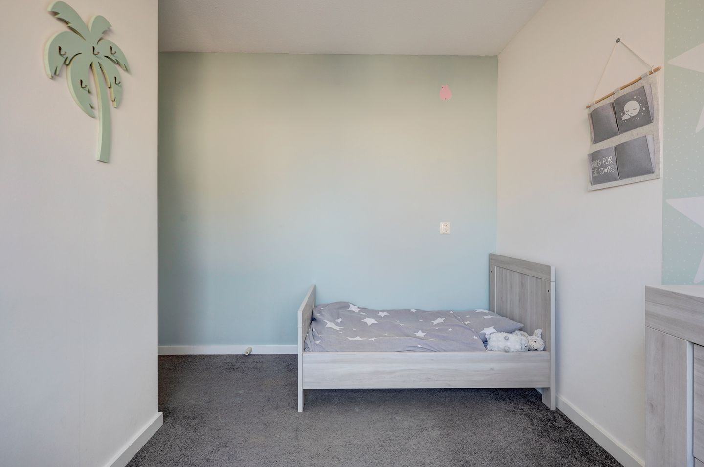 Foto 19 van Scholekster 14