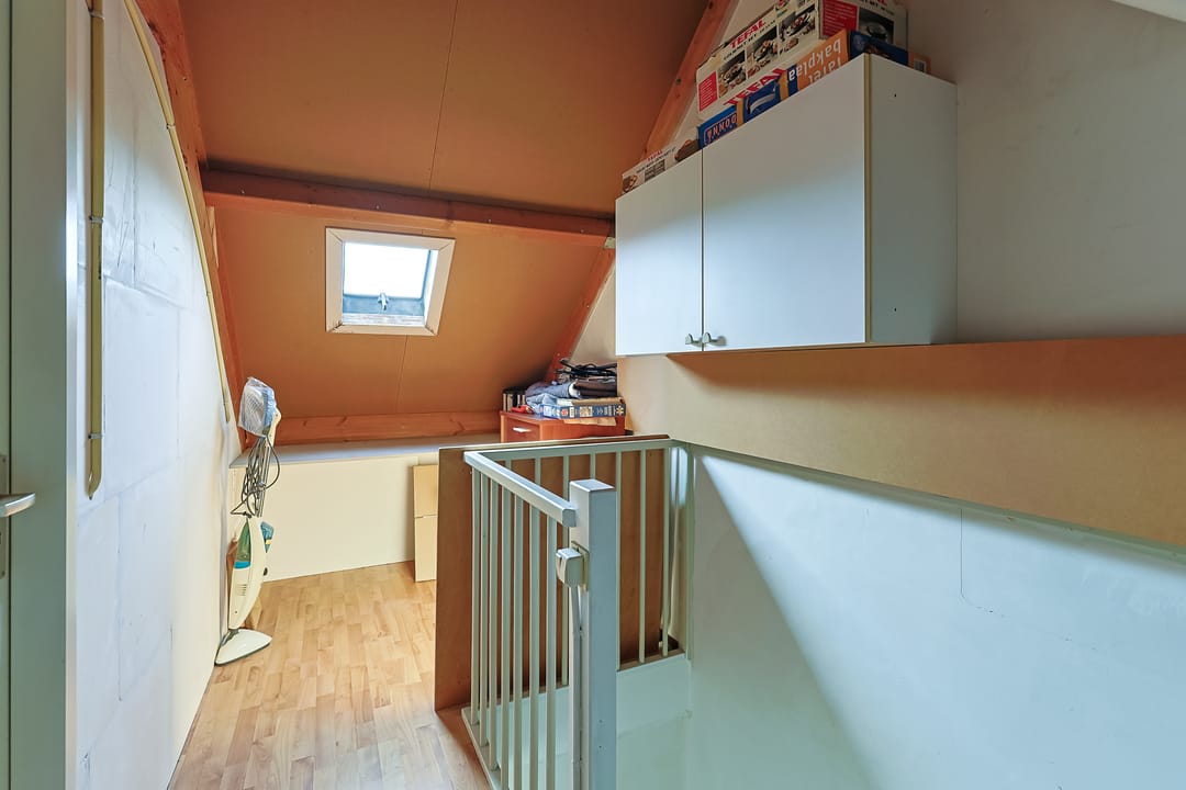 Foto 32 van Blaasbalg 6