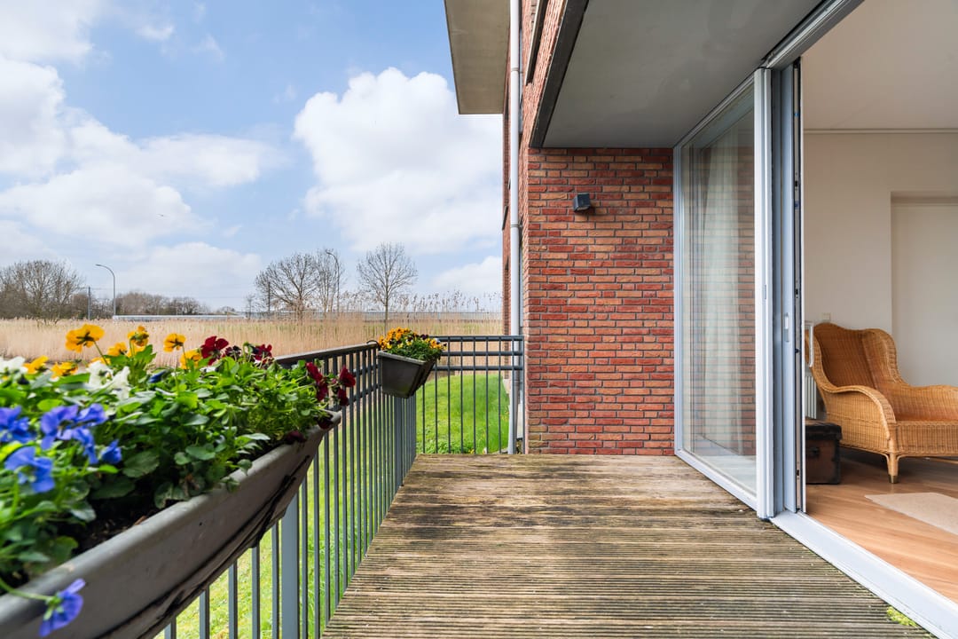 Foto 2 van Laan van Floris de Vijfde 93