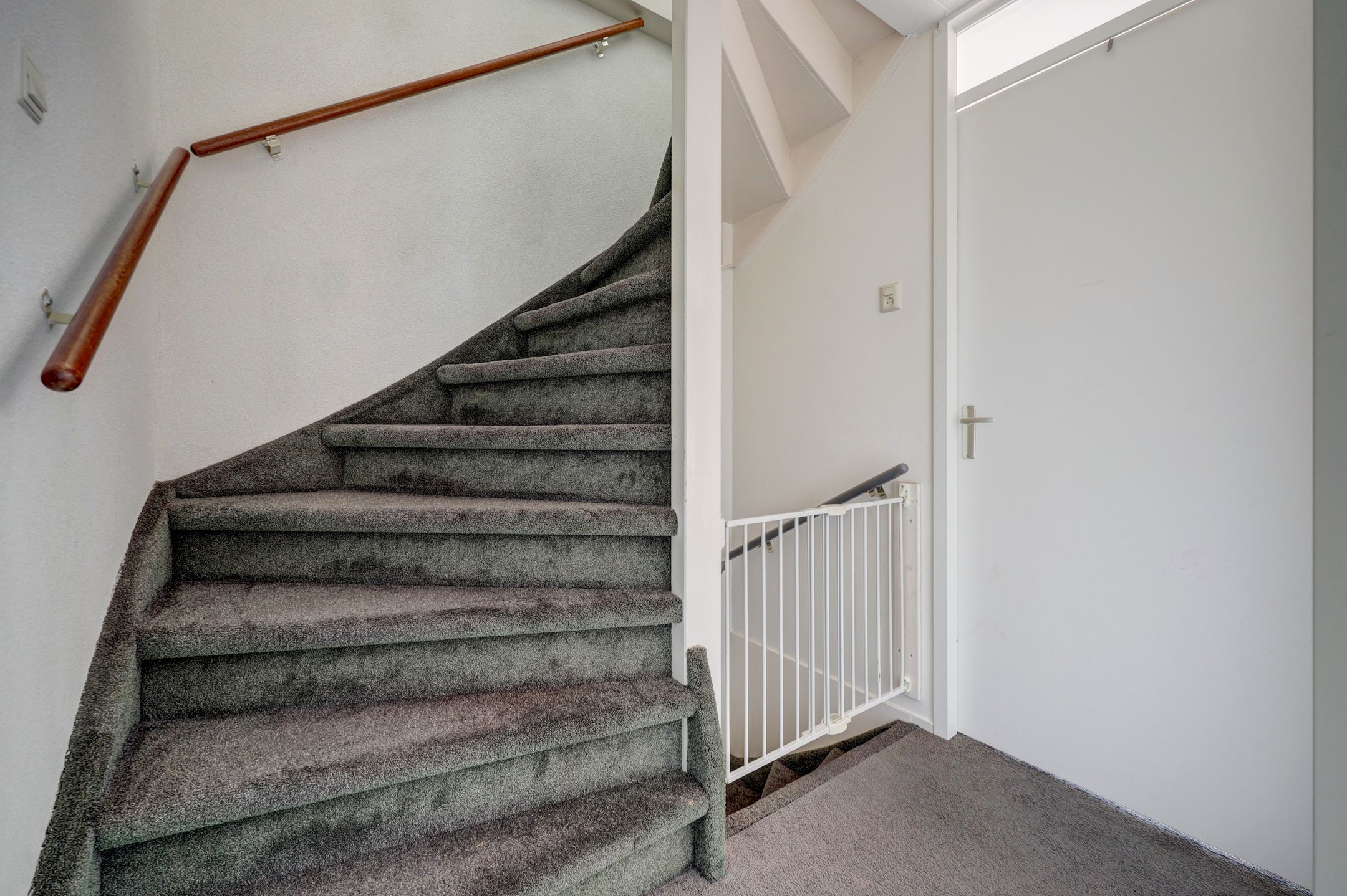 Foto 15 van Scholekster 14