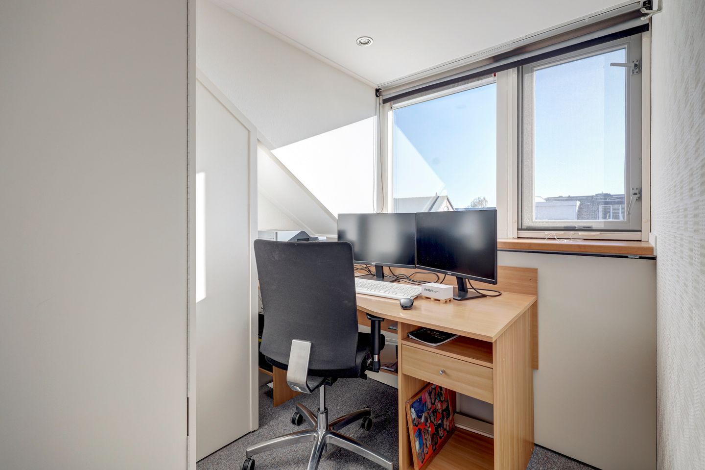 Foto 25 van Scholekster 14