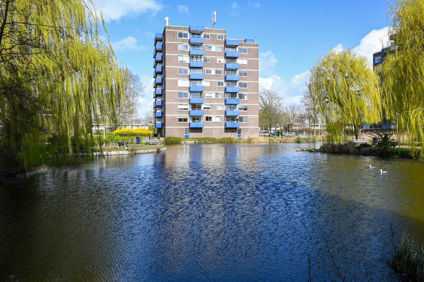 Foto 19 van Bijvoet 31