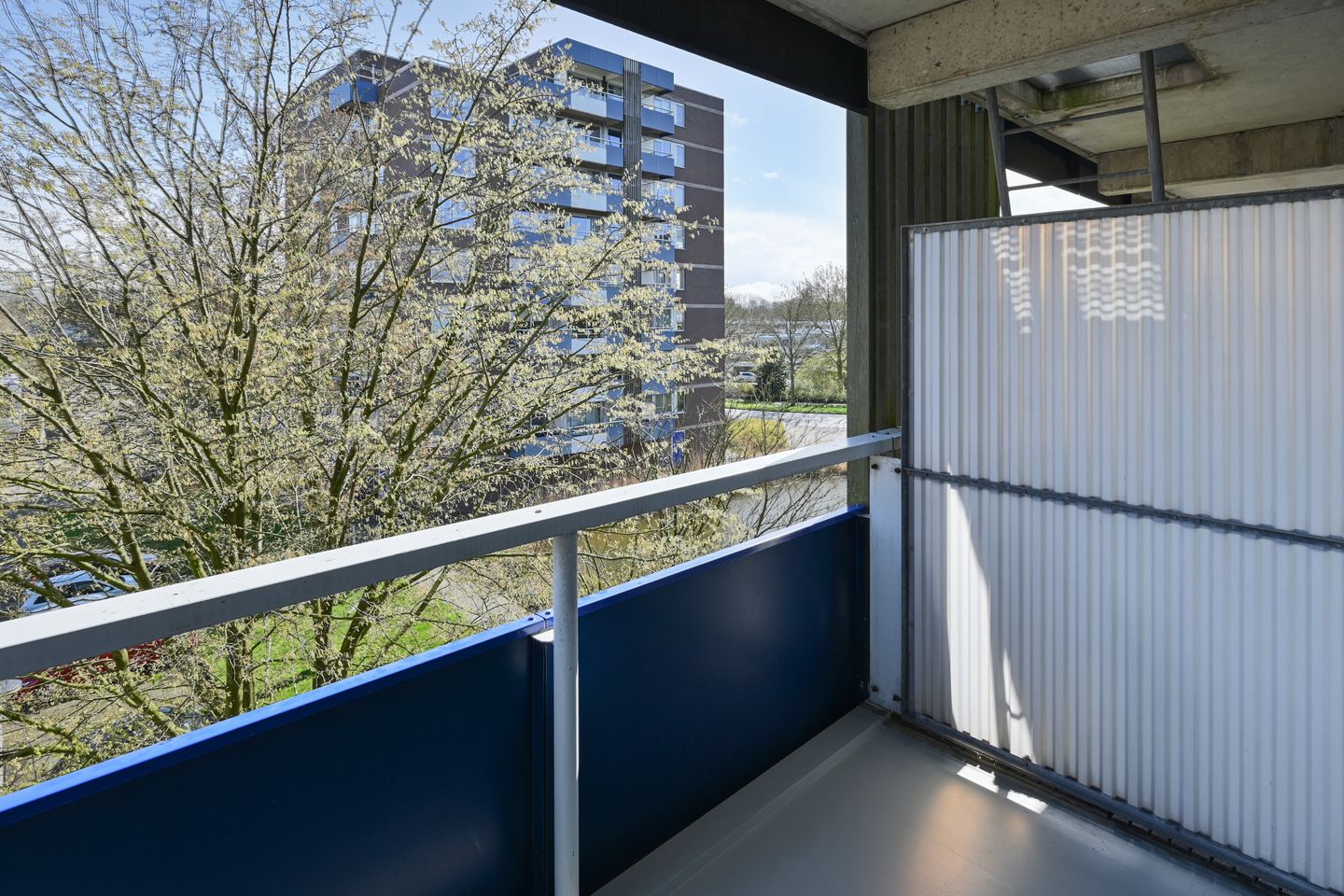 Foto 14 van Bijvoet 31