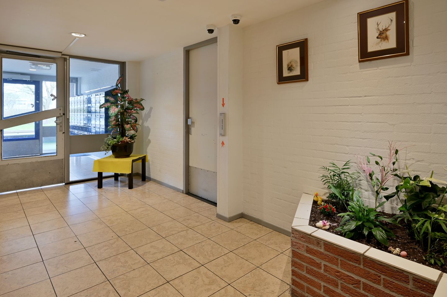 Foto 5 van Bijvoet 31