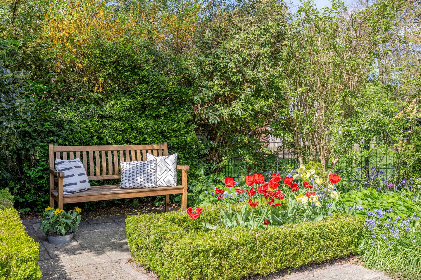 Foto 34 van Iepestraat 24