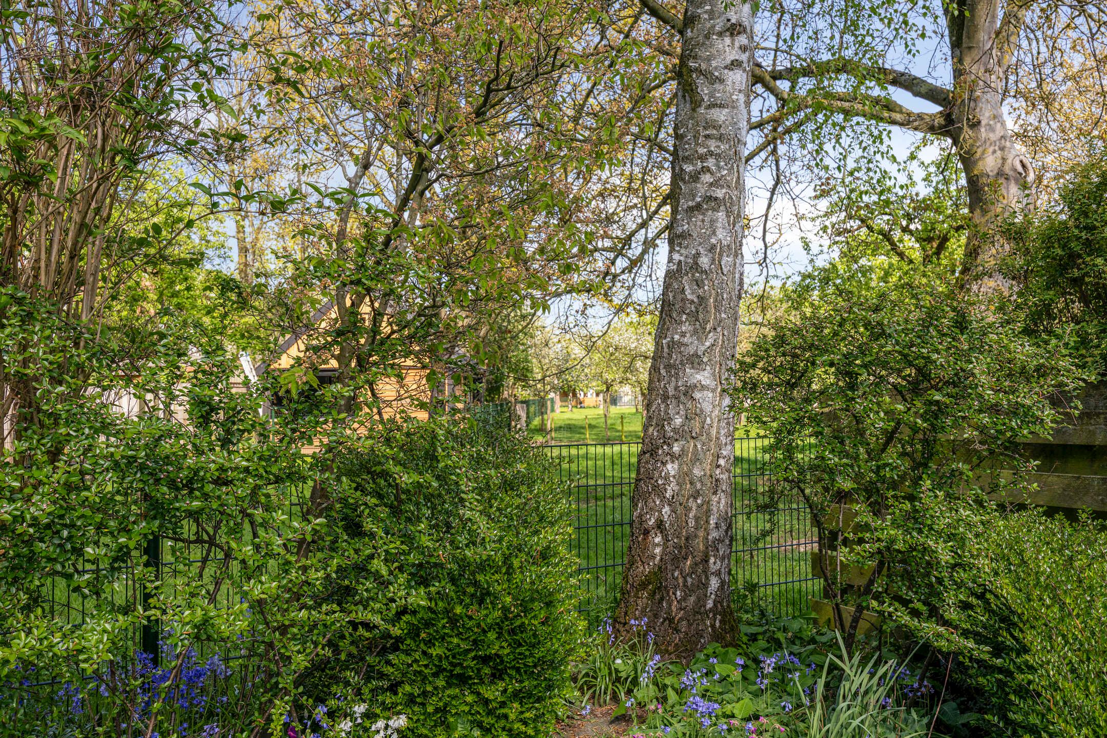 Foto 36 van Iepestraat 24