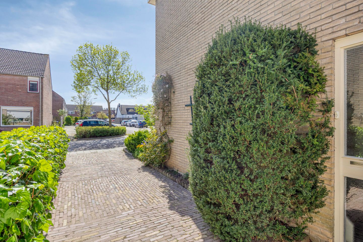 Foto 40 van Iepestraat 24