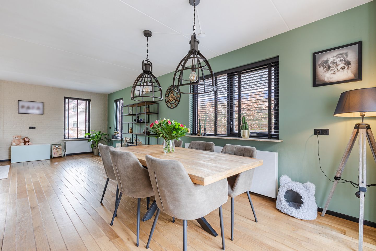 Foto 19 van de Bryde 21