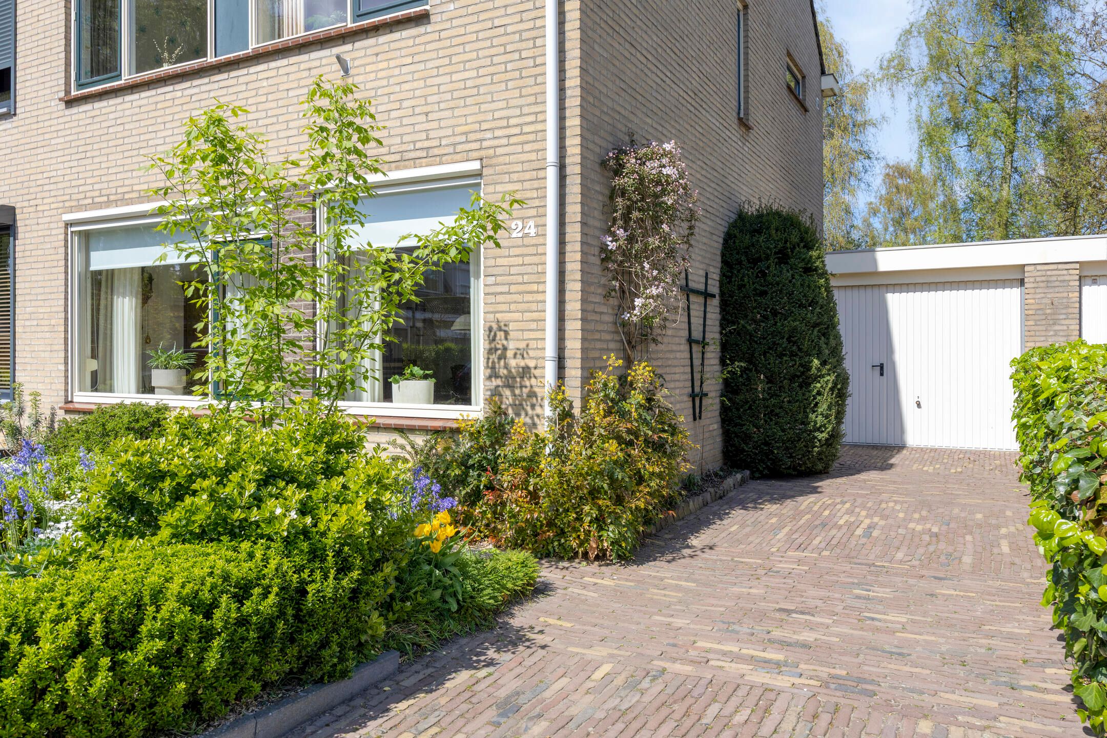 Foto 39 van Iepestraat 24