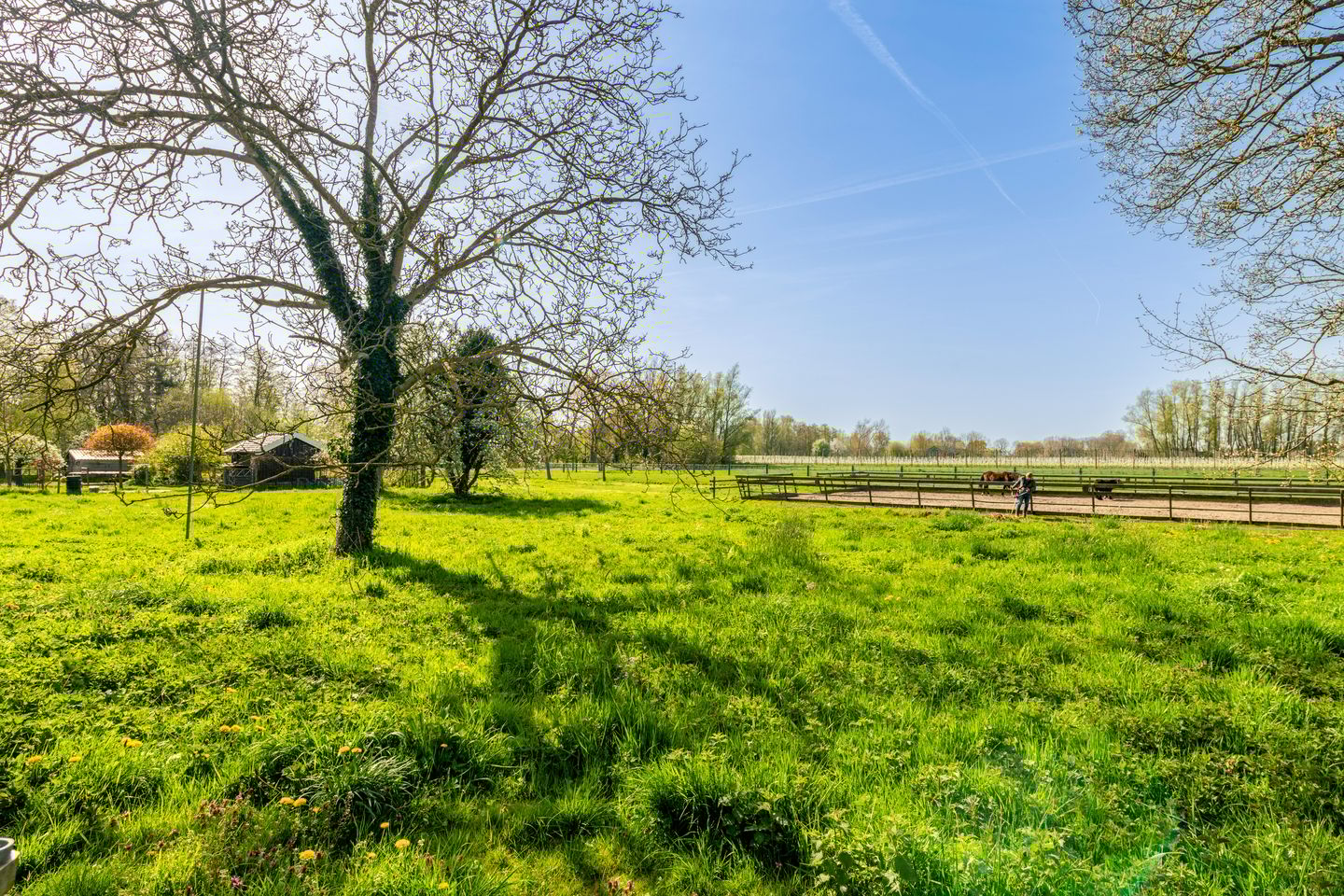 Photo 40 of Van Vianenhof 12