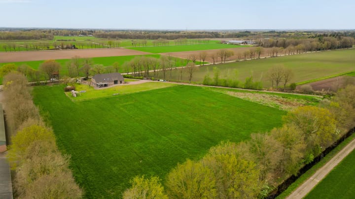 Foto 4 van Buikheide 14