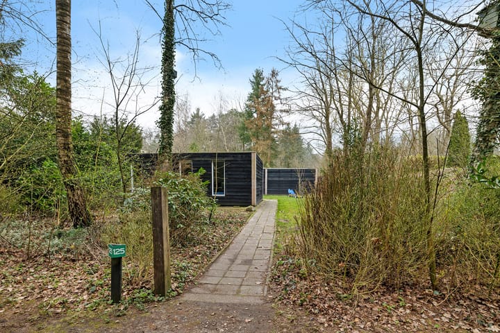 Foto 2 van Gasselterstraat 7-125