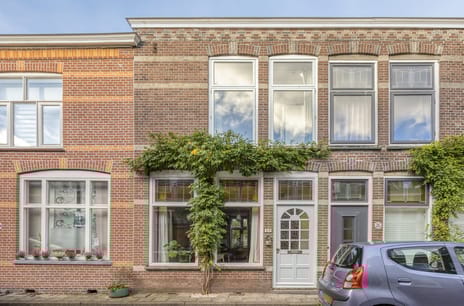 Druivenlaan thumbnail