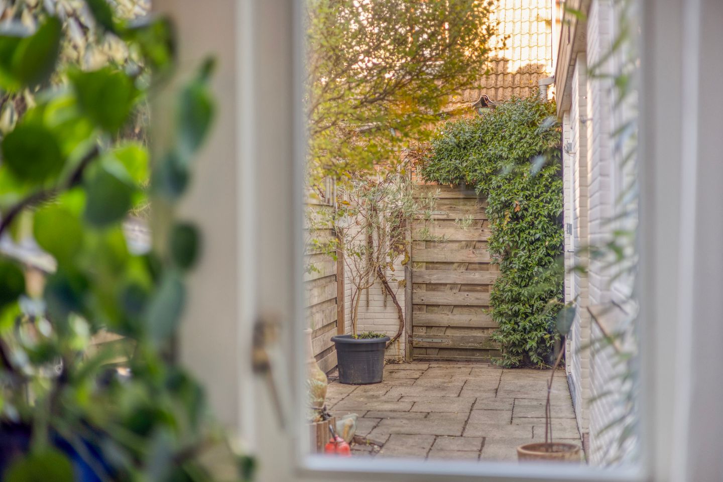 Foto 14 van Druivenlaan 28