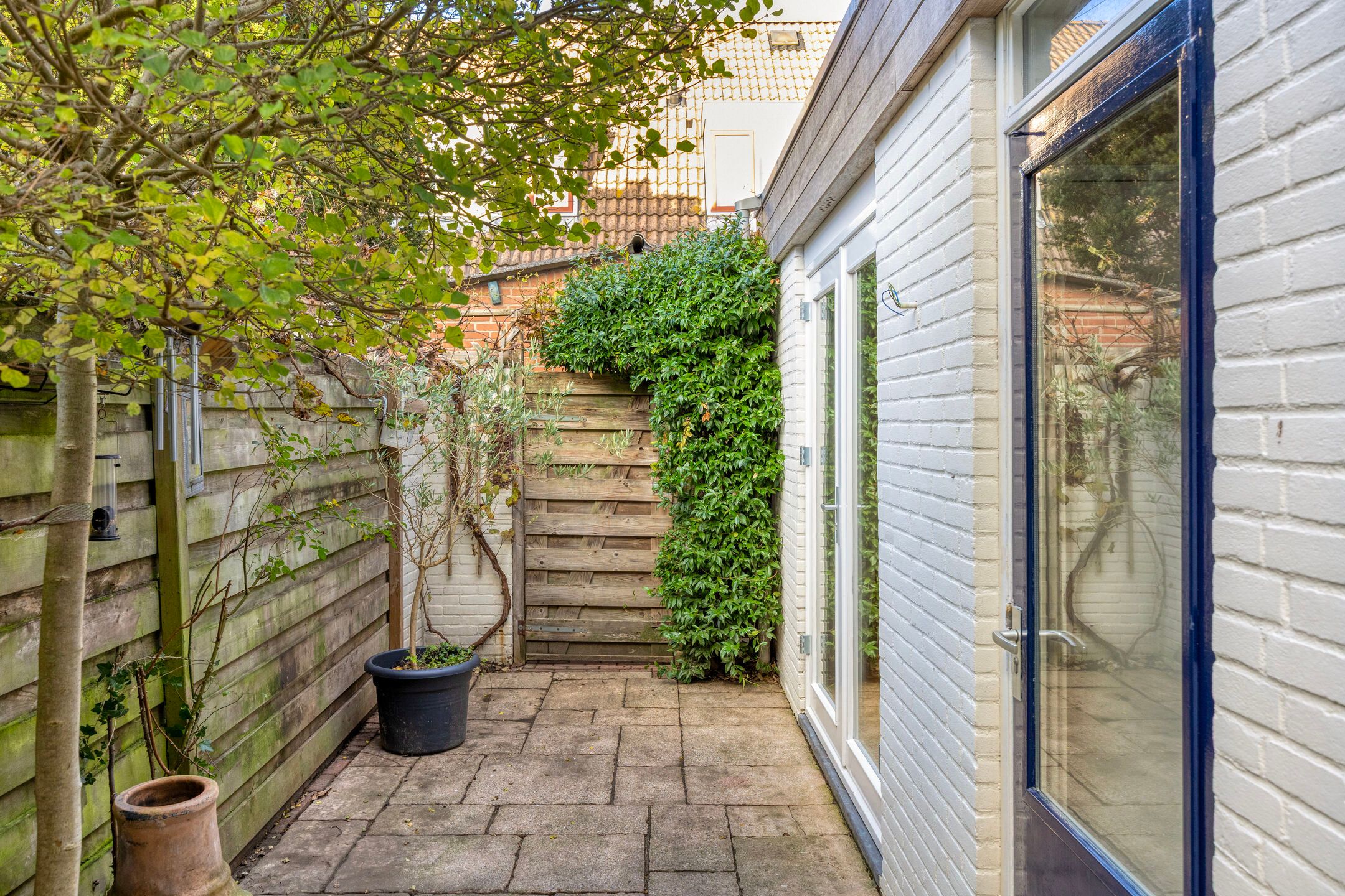 Foto 24 van Druivenlaan 28