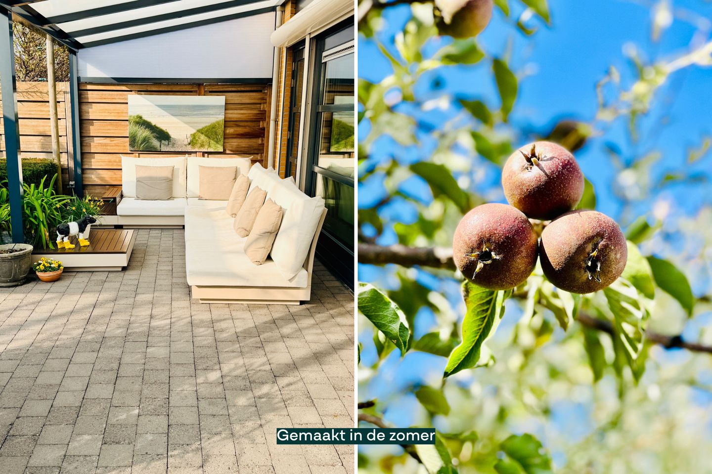 Foto 44 van Meesberg 11