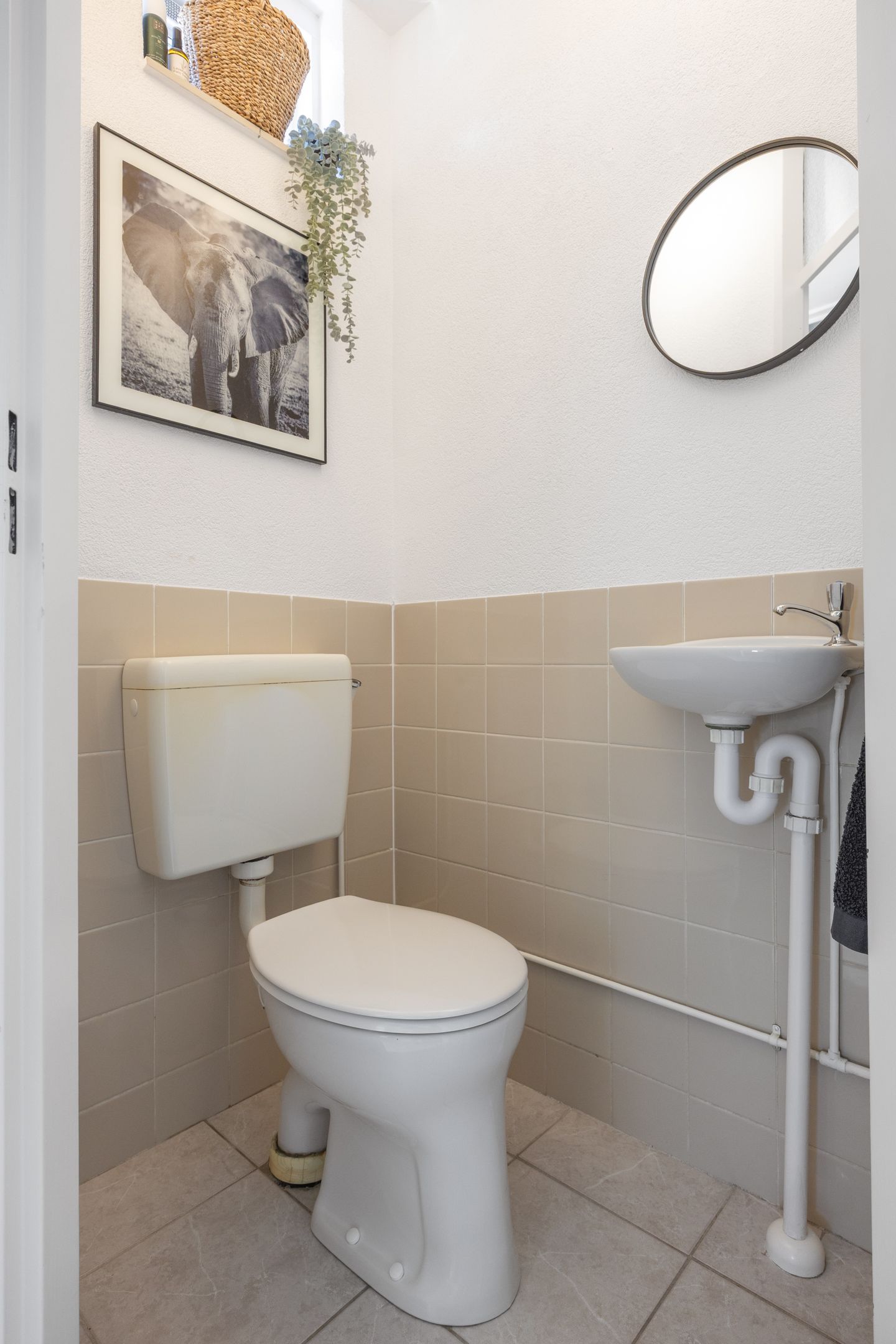 Foto 10 van Nijensteinheerd 184