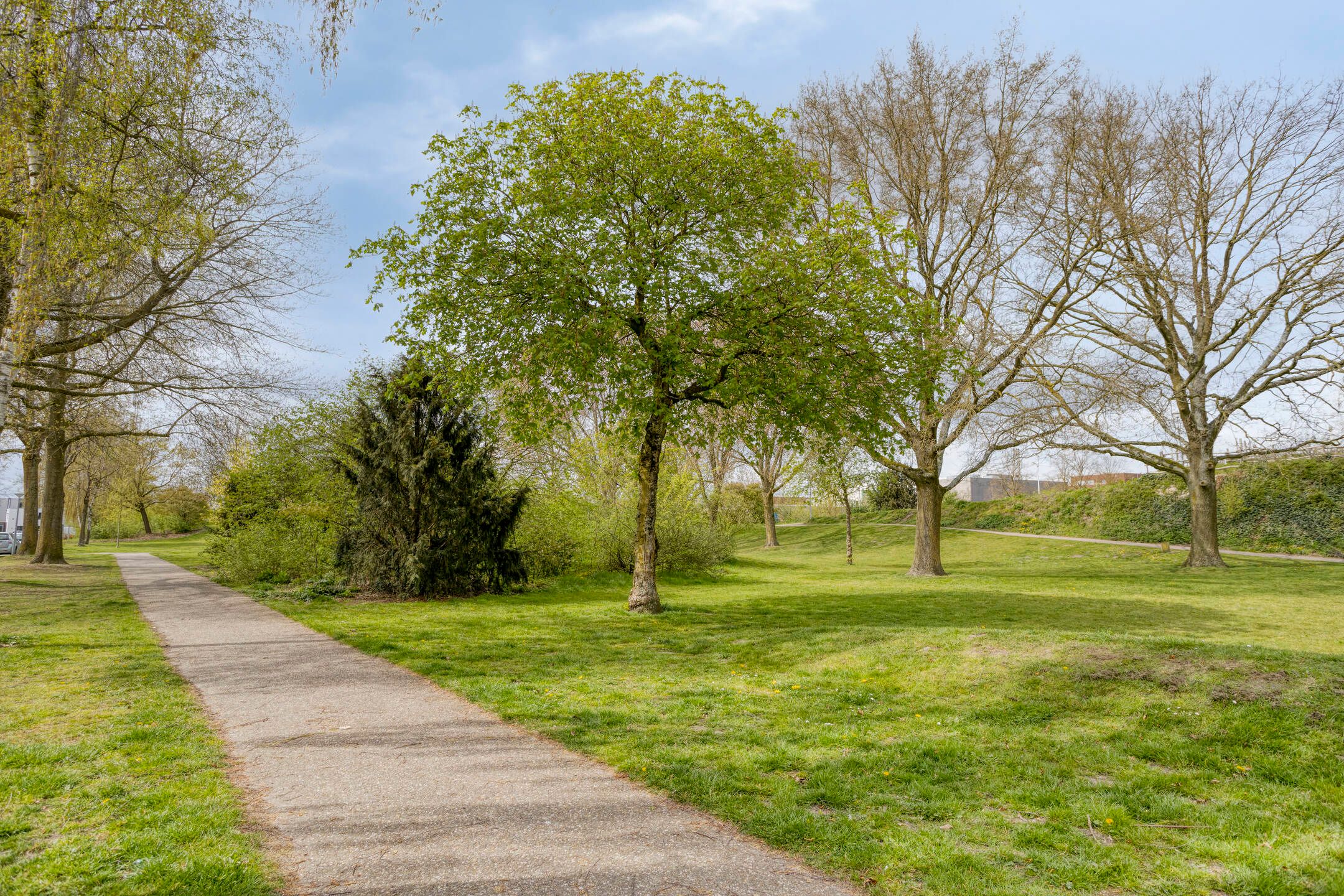 Foto 36 van Cellostraat 60