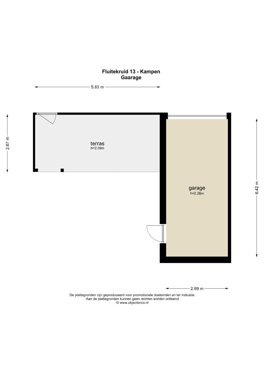 Foto 45 van Fluitekruid 13