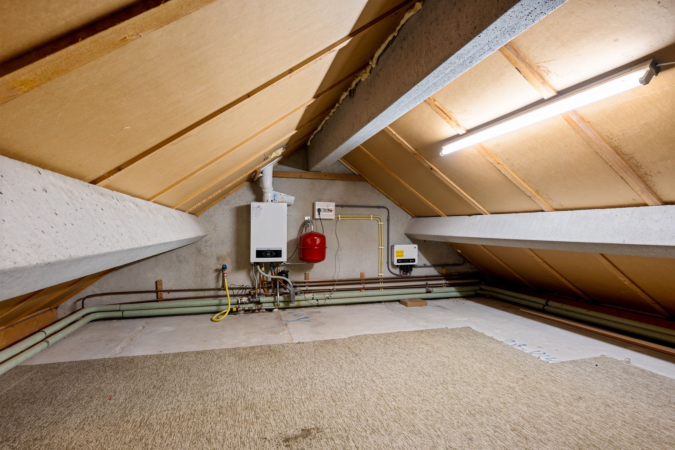 Photo 30 of De Lauwers 19