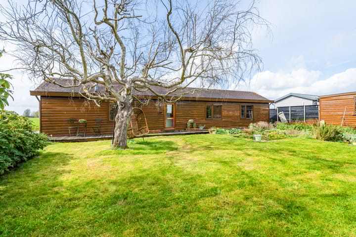 Foto 2 van Waterlelie 4